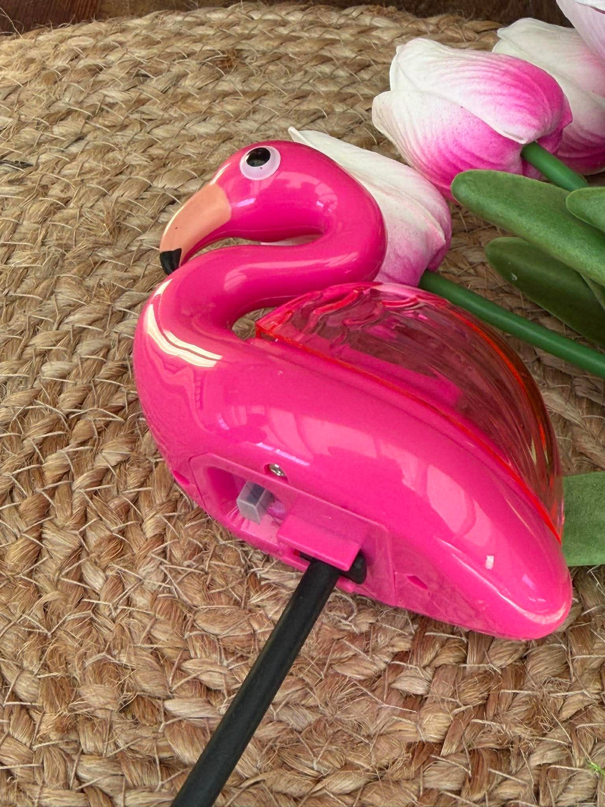 Flamingo op spies - Solar