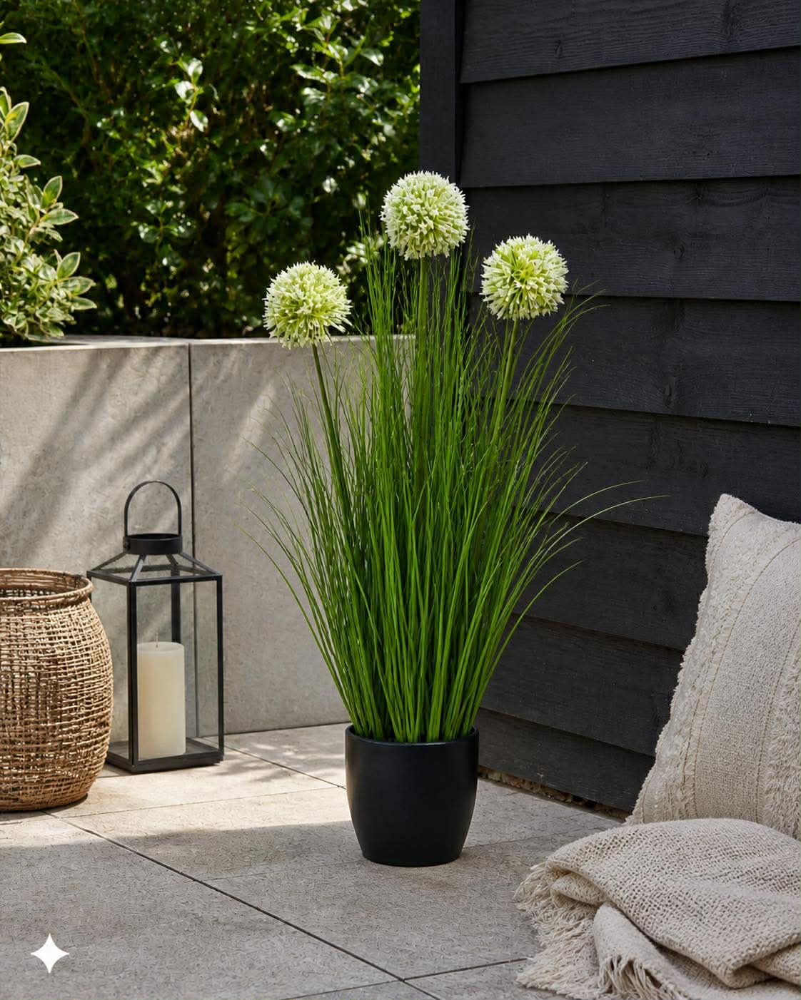 Gras en alliumbloemen in pot
