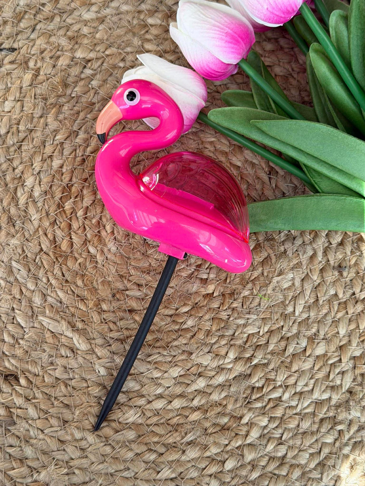 Flamingo op spies - Solar