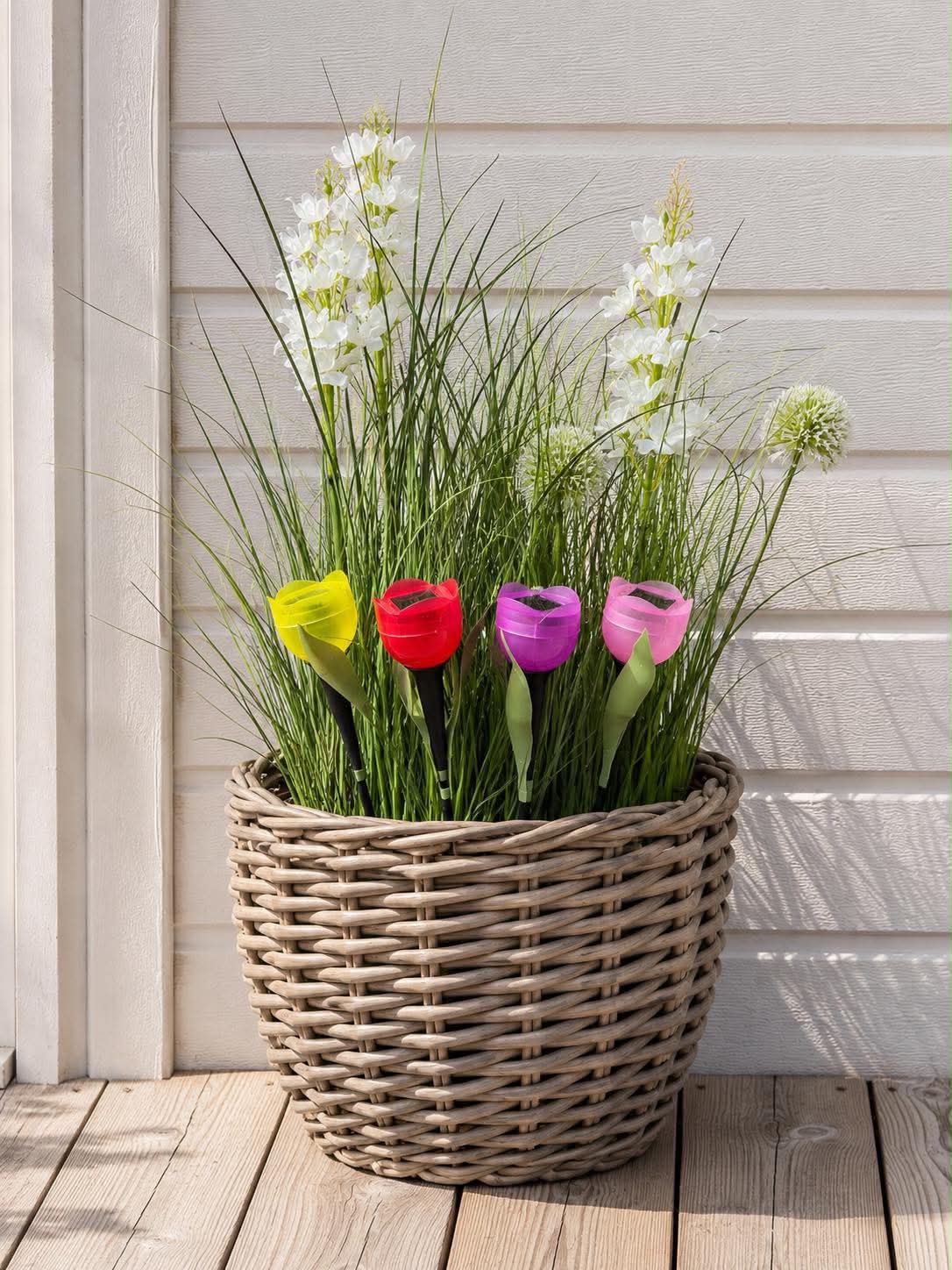 Tulipan Solar - Meerdere kleuren