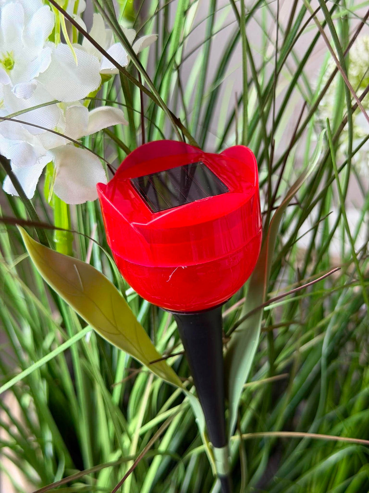 Tulipan Solar - Meerdere kleuren
