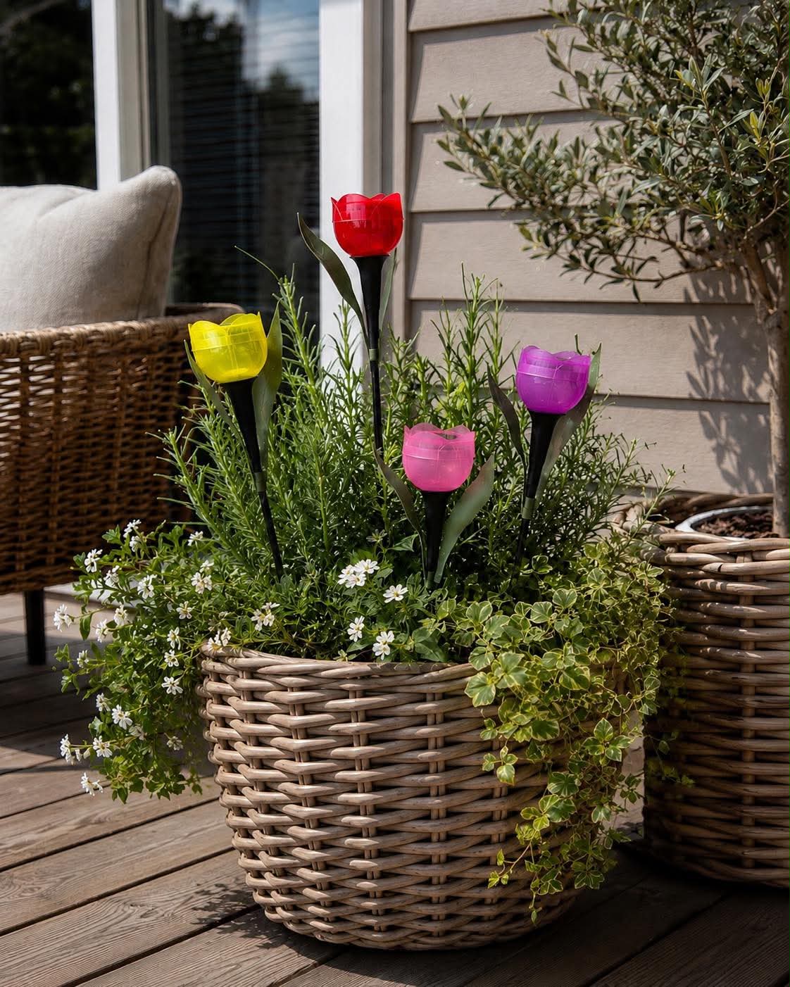 Tulipan Solar - Meerdere kleuren