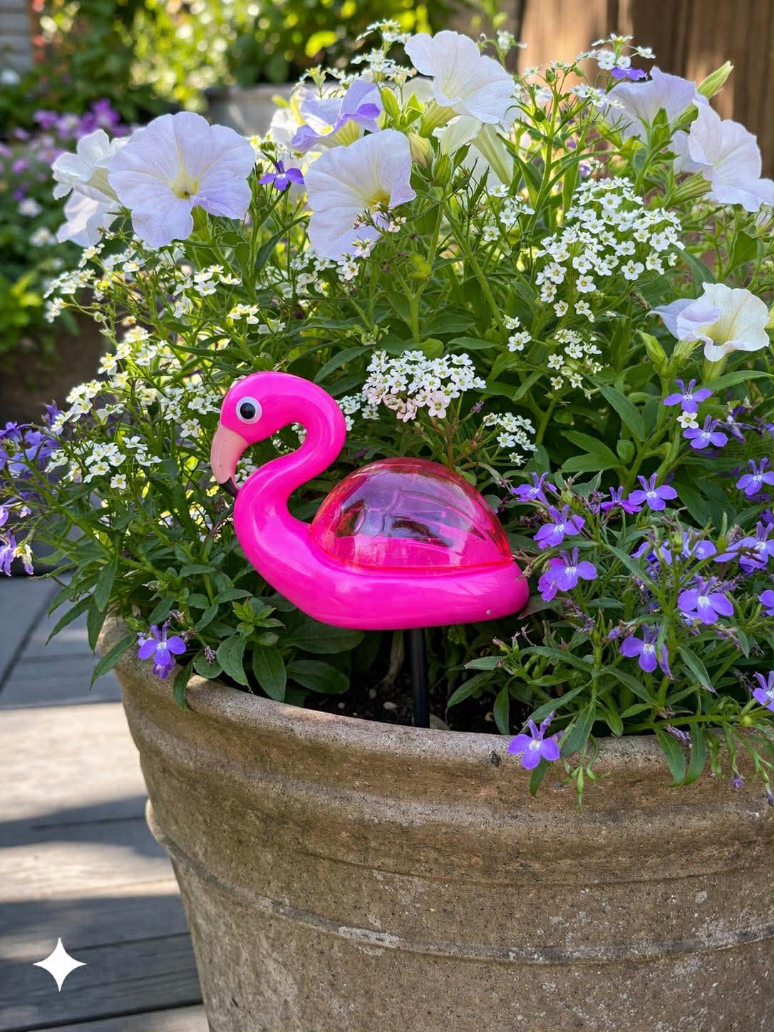 Flamingo op spies - Solar