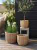 Plantenmanden RATTAN naturel  – Set van 3 maten