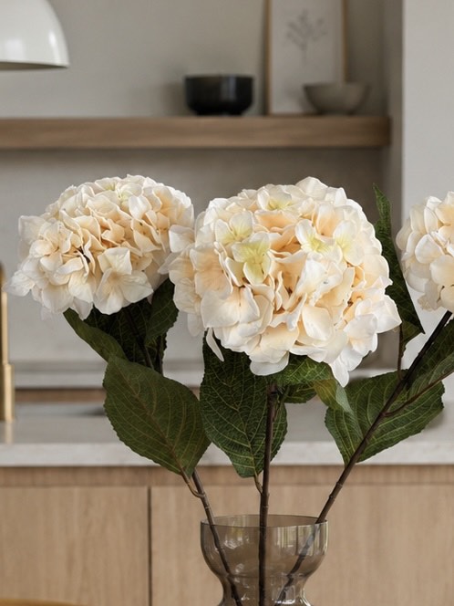 Hortensia crème - 70 cm