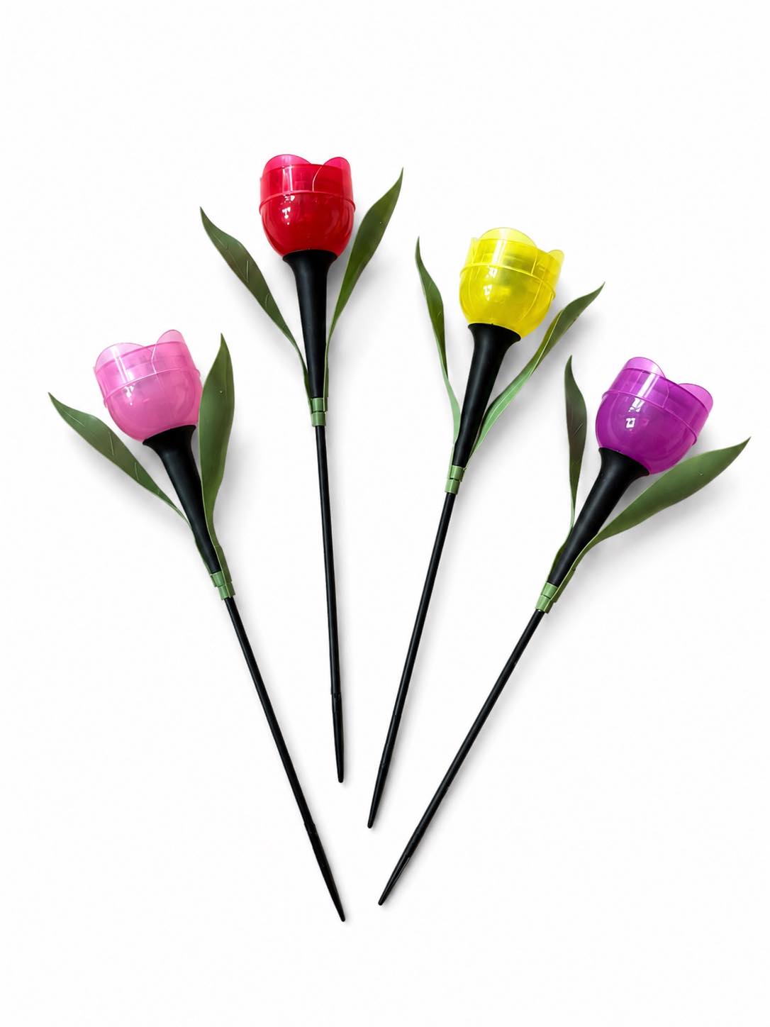 Tulipan Solar - Meerdere kleuren