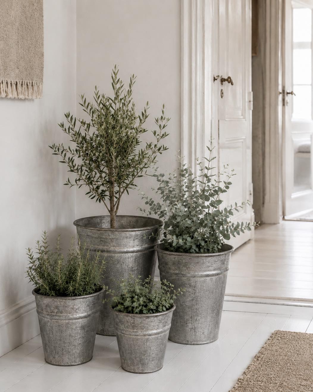 Plantenbakhoes van zink - meerdere maten