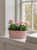 Langwerpige pot in betonlook - Rosa