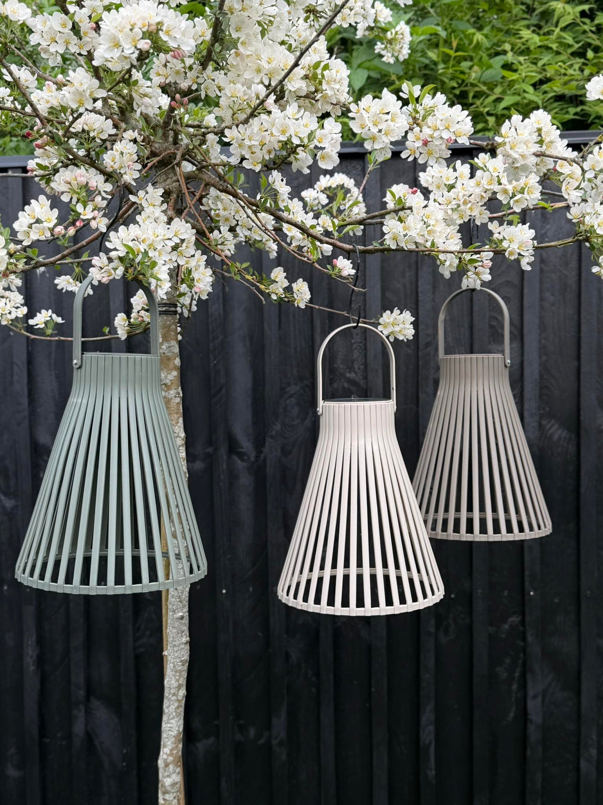 Lantaarn Emily solar 24 cm - Meerdere kleuren