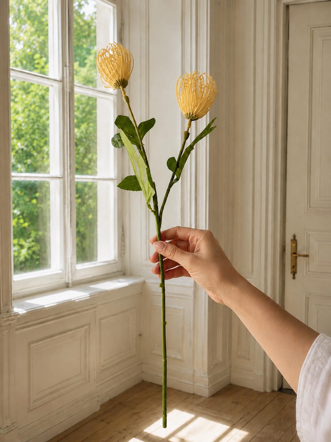 Bloemenstengel Chrysant - Meerdere kleuren