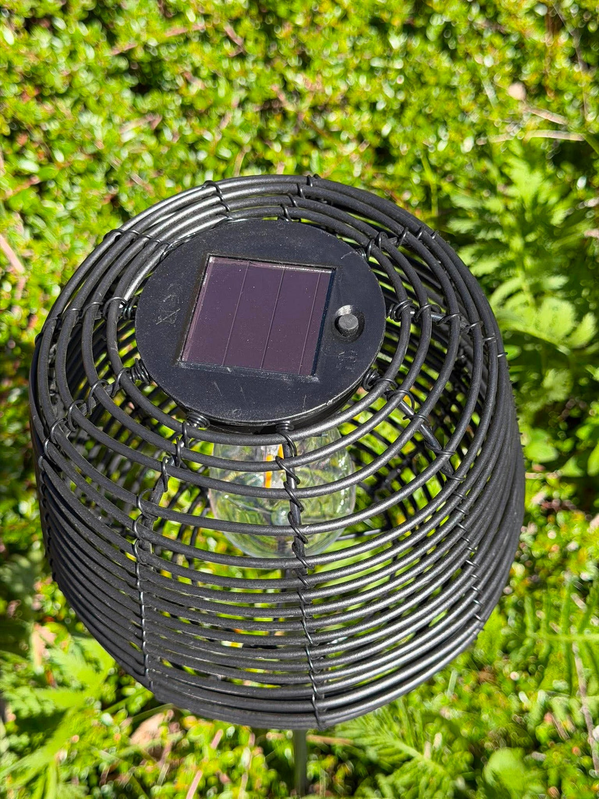 Lantaarn op prikker 79 cm - Meerdere kleuren
