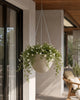 Hangpot beige