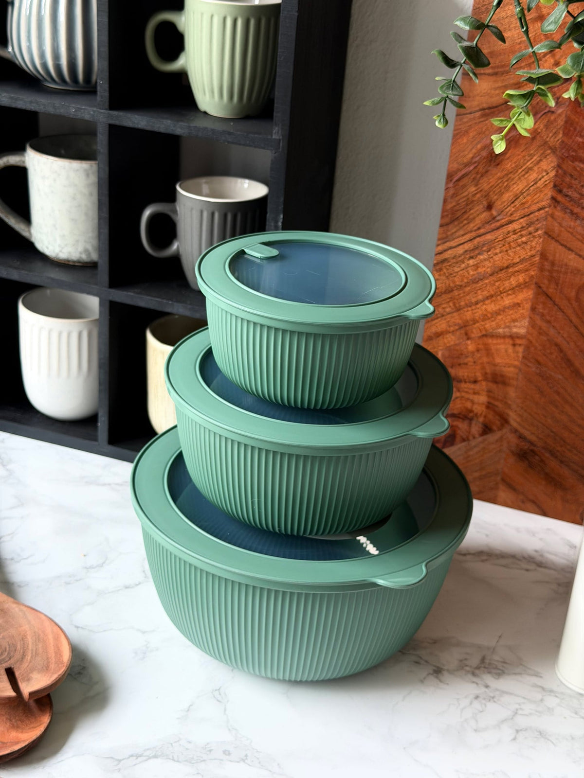 Schalen mit Deckel - Mehrere Farben