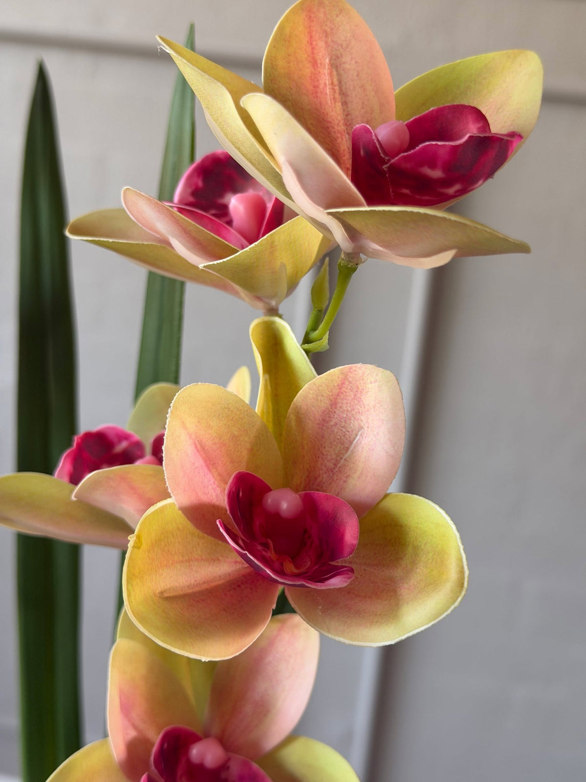 Orchidee-stengel - Roze 70 cm