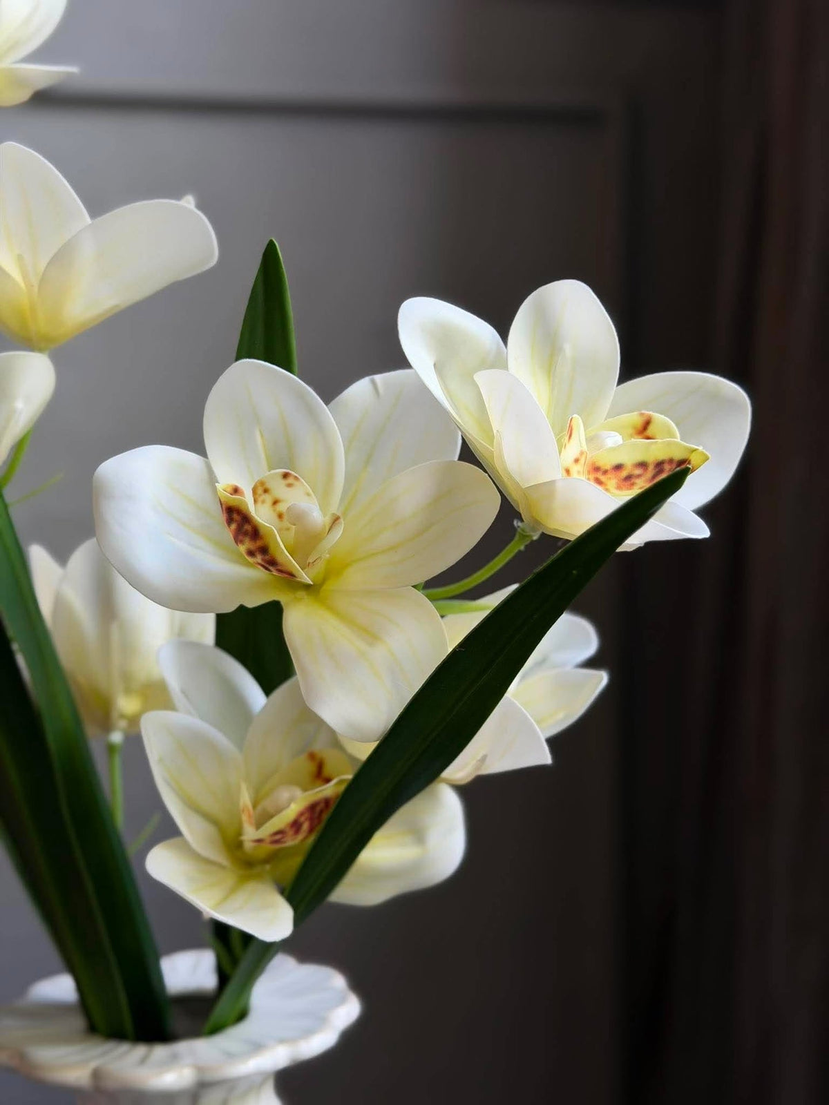 Orchidee steel - 43 cm Wit / geel