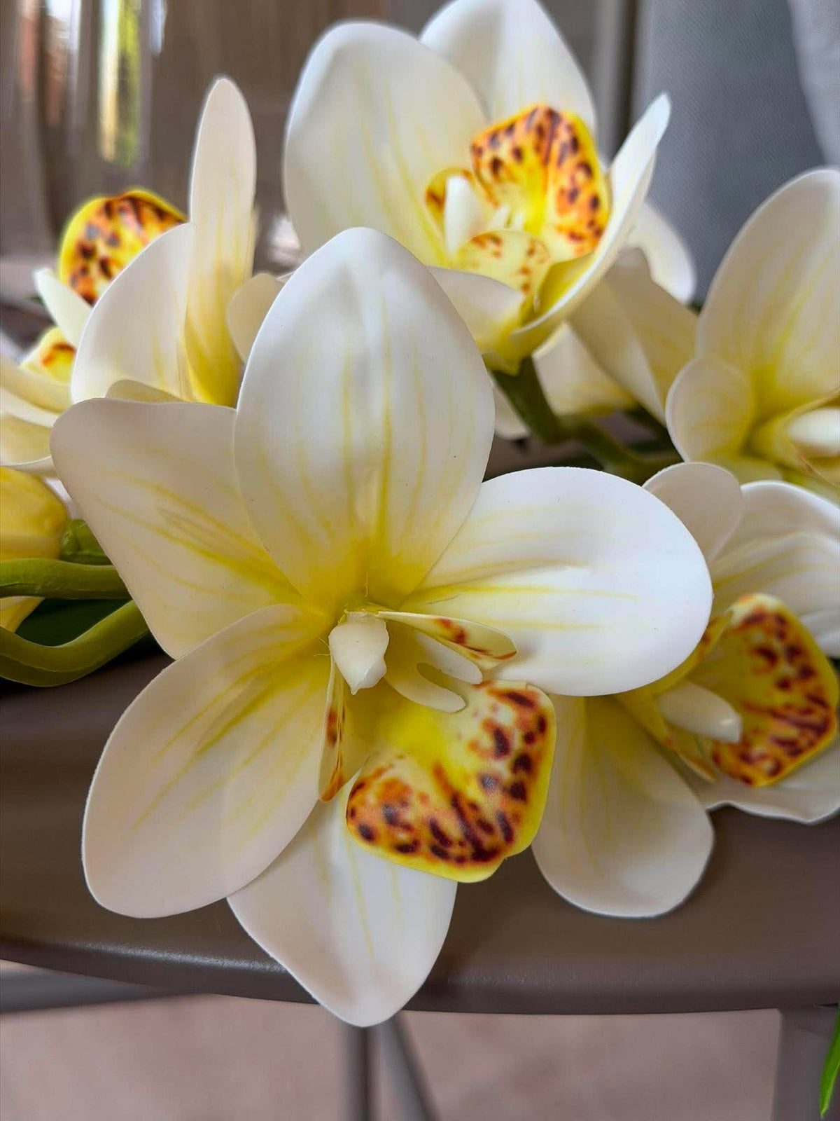 Orchidee tak - 78 cm wit / geel