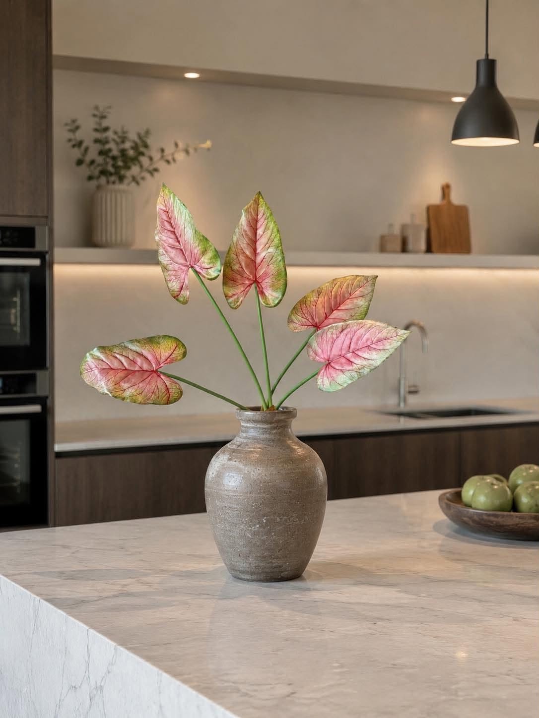 Plante Caladium 66 cm Roze