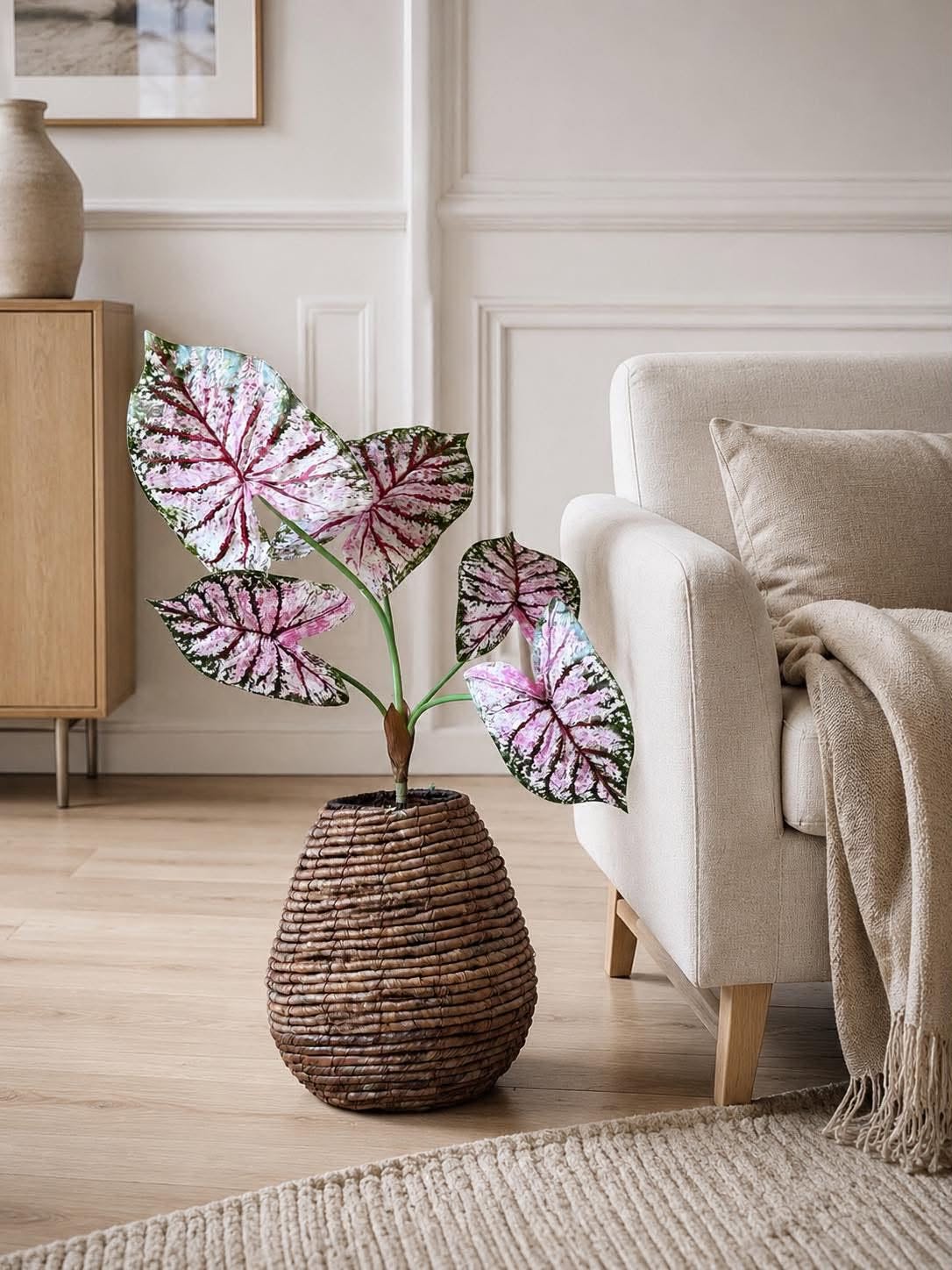 Plant Caladium H:67 cm Roze/Groen