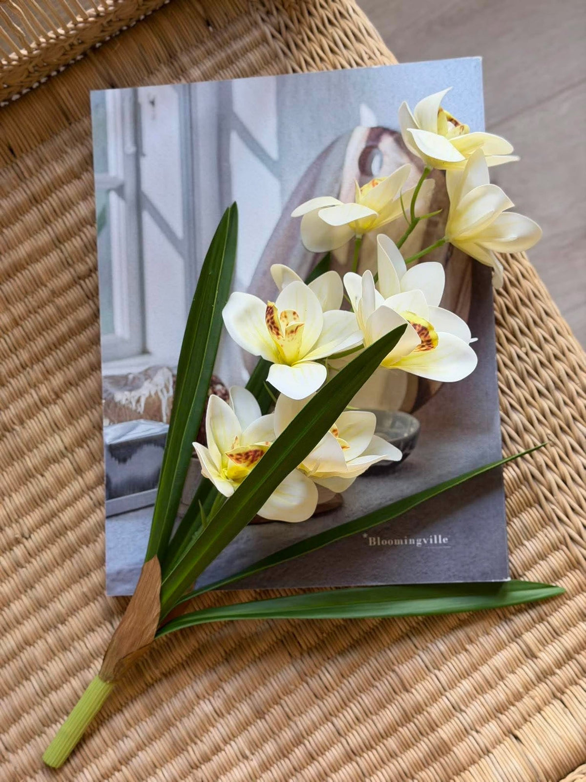 Orchidee steel - 43 cm Wit / geel
