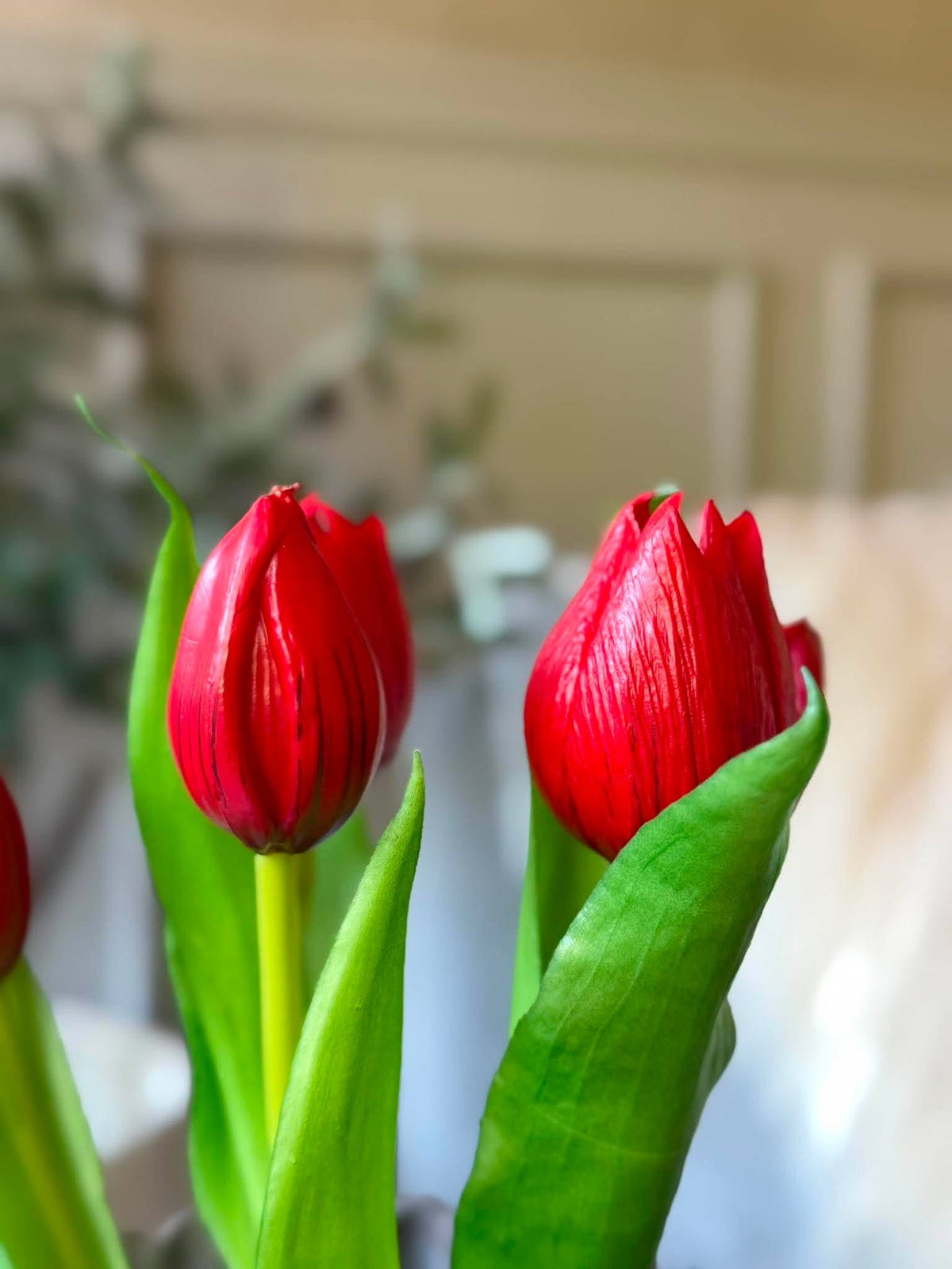 Tulp in pot - Rood met 5 bloemen