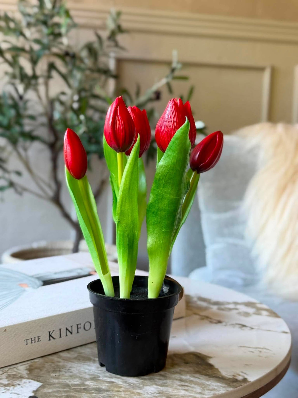 Tulp in pot - Rood met 5 bloemen