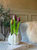 Tulpen in pot - Paars met 3 bloemen