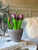 Tulp in pot - Paars met 5 bloemen