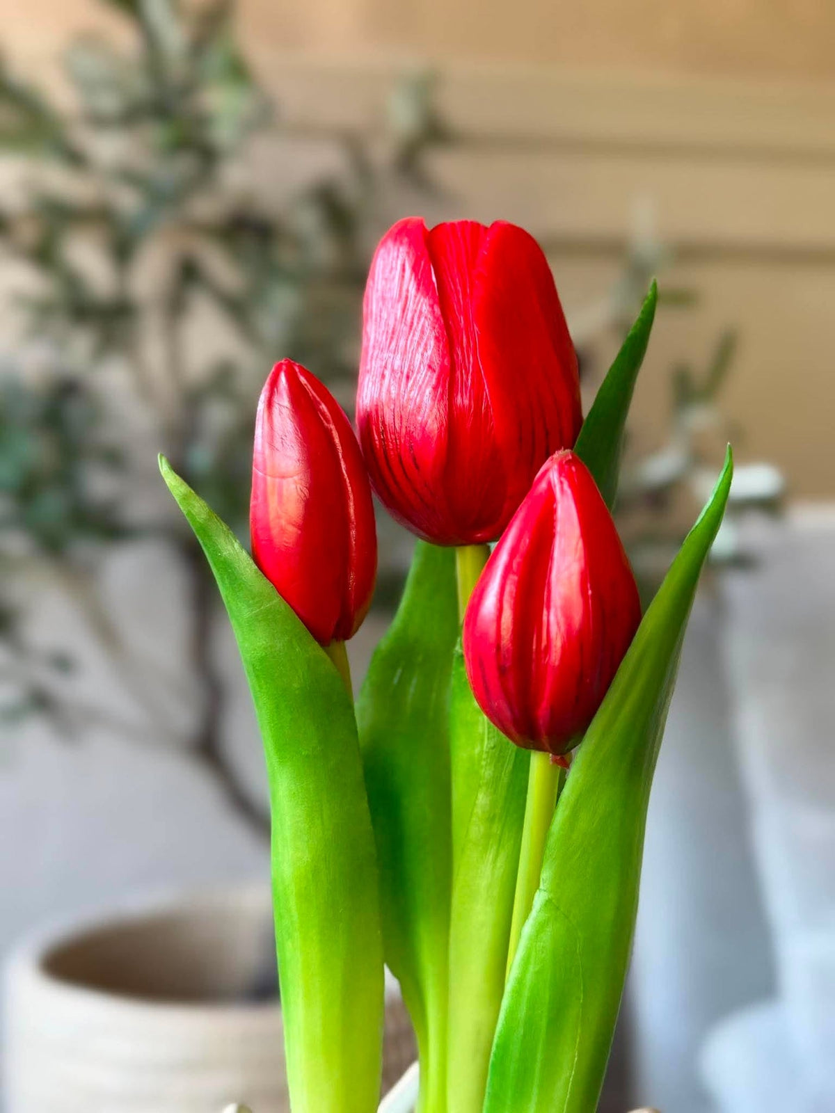 Tulp in pot - Rood met 3 bloemen