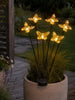 Vlinders op spies m. Zonnecellen