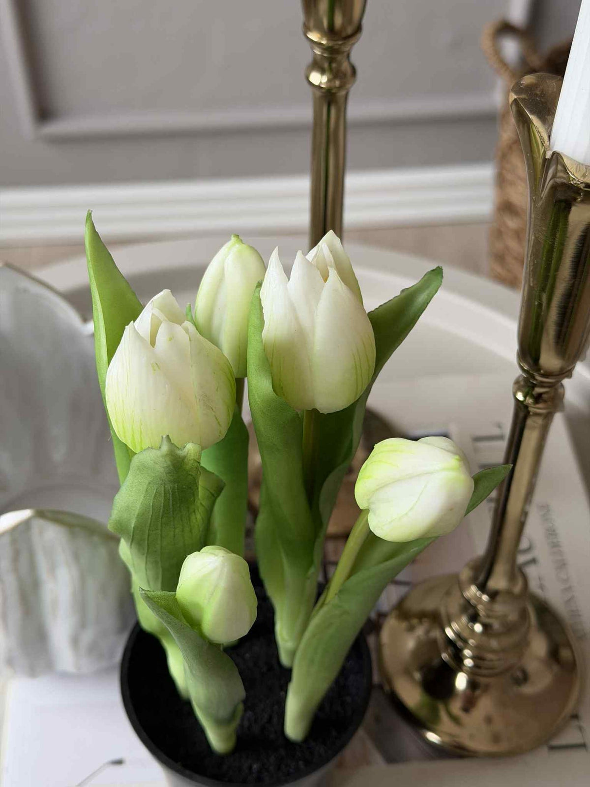 Tulp in pot - Wit