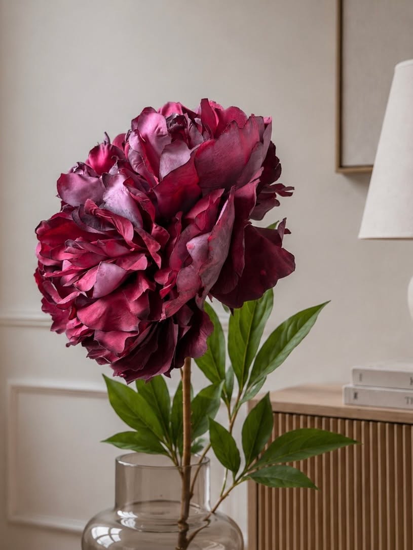 Pioenstengel 72 cm - Bordeaux