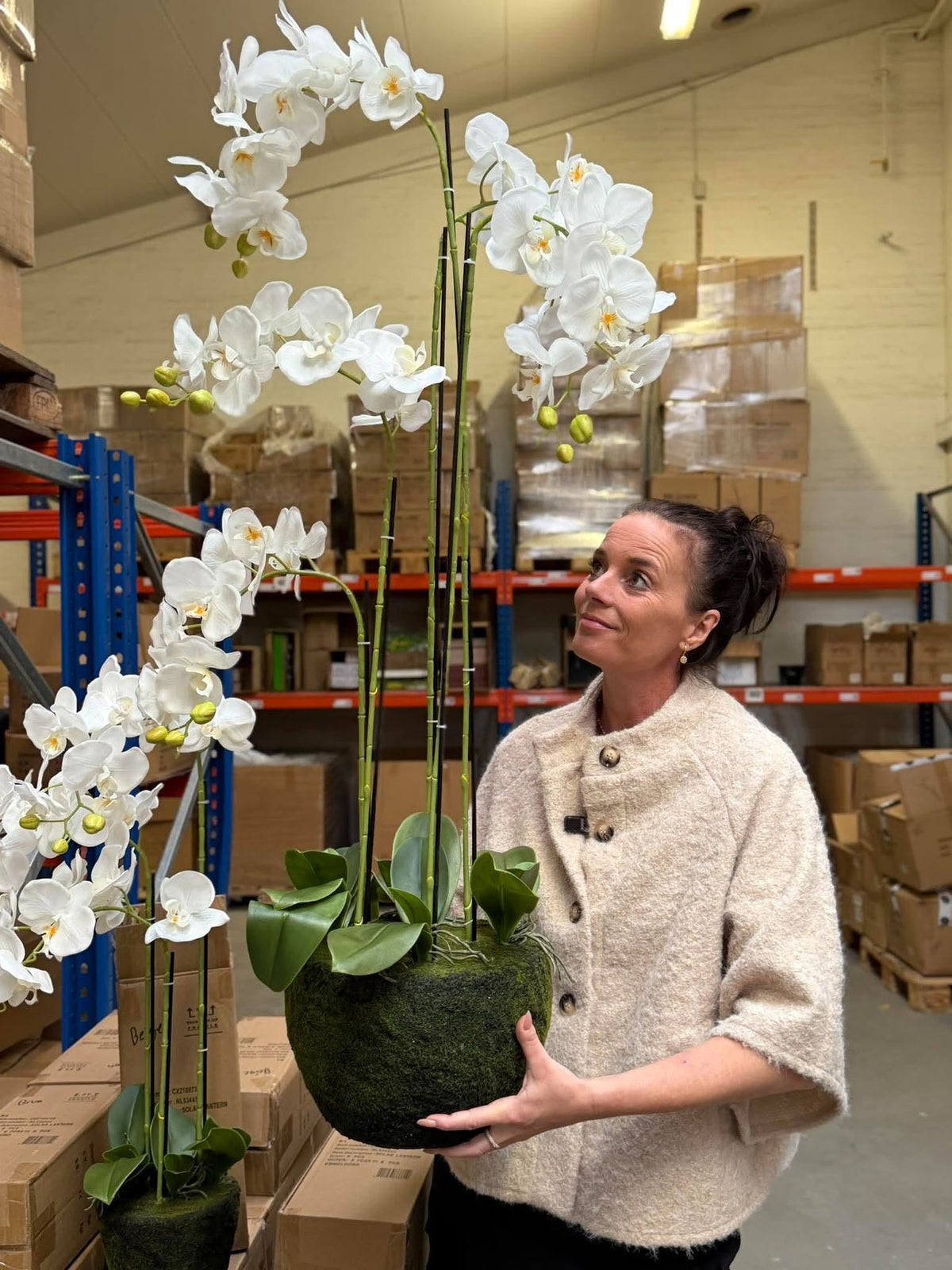Orchidee 115 cm