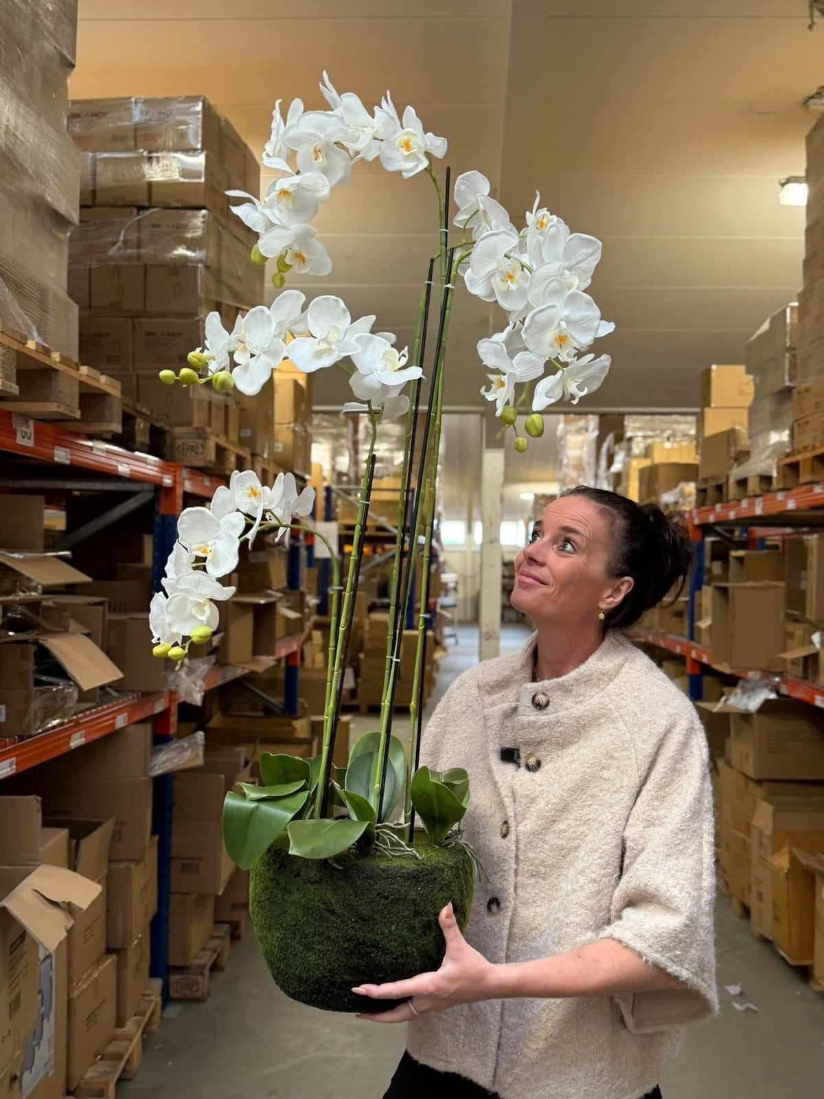 Orchidee 115 cm