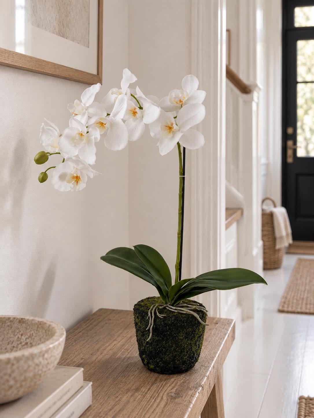 Orchidee 65 cm
