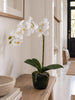 Orchidee 65 cm