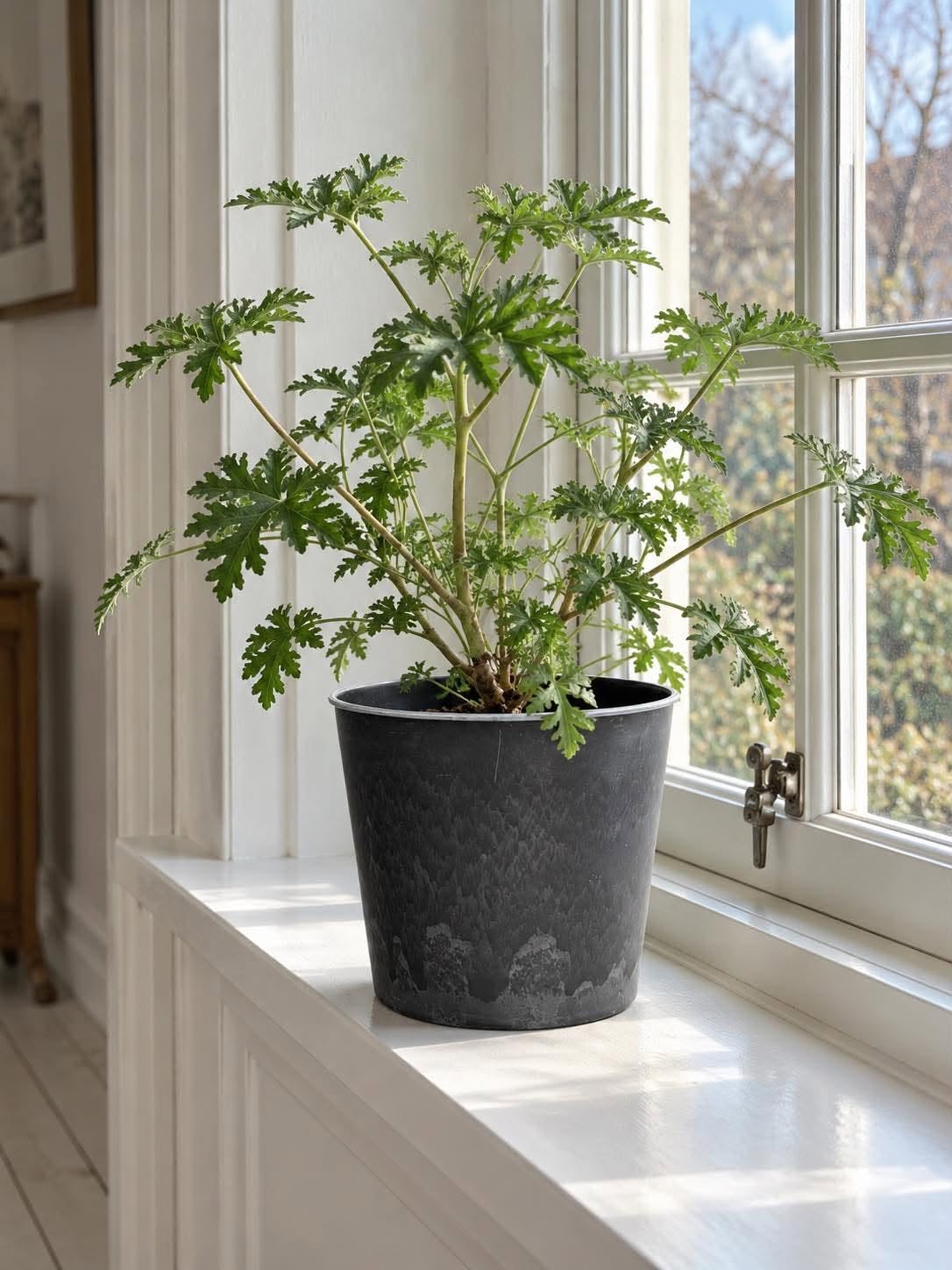 Pot in betonlook – Groot