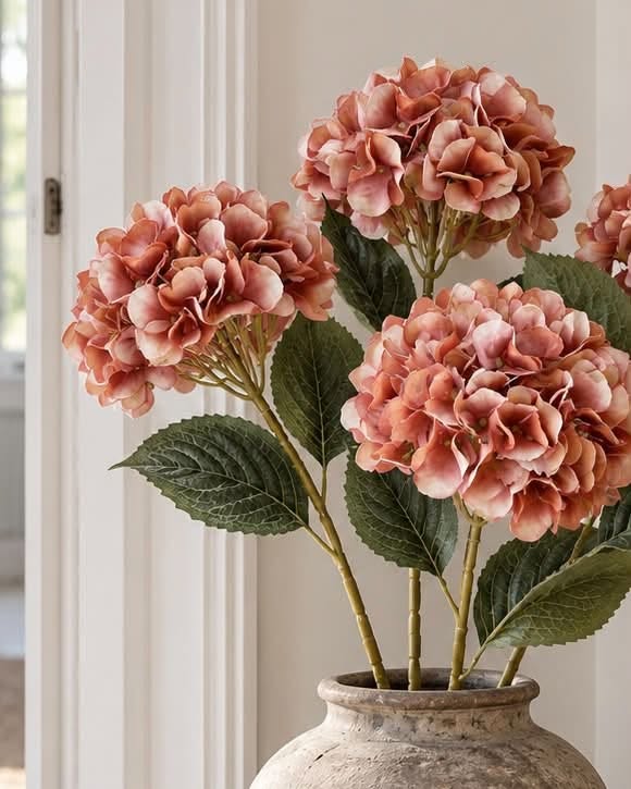 Hortensia gebrande kleuren - Mix