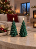 LED-kerstboompjes - 2 stuks