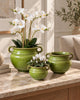 Krukke Olive – Groene steengoed pot