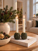 Kandelaarset met 2 Dennenappels - Groen/goud