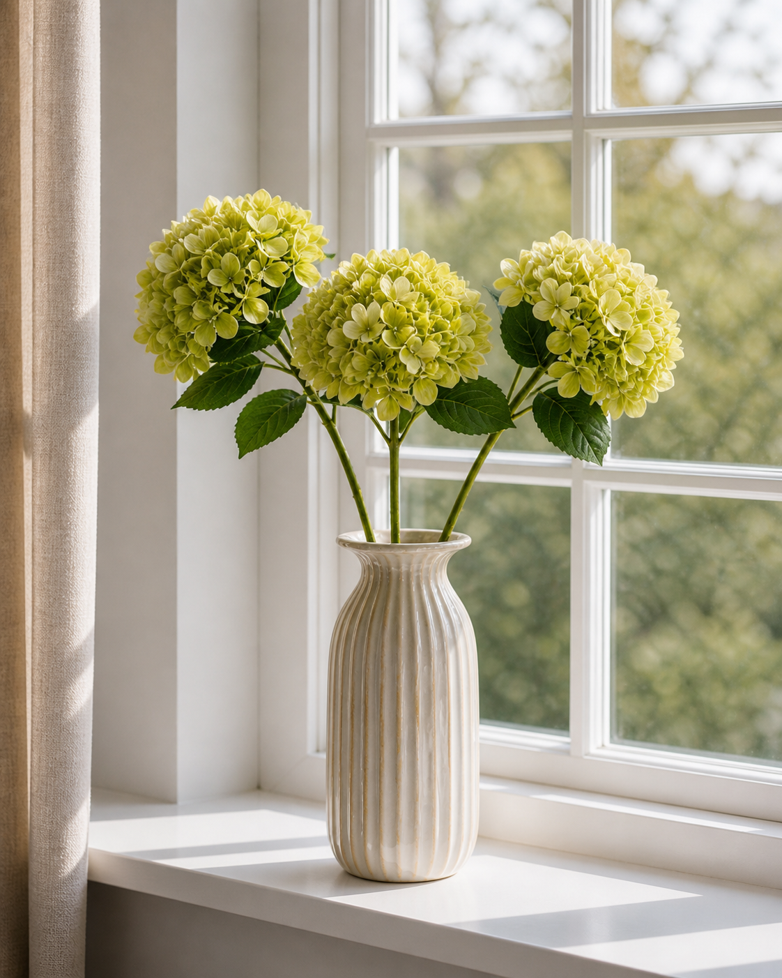 Hortensia Stengel - Lime