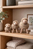 Schaap Natur – Medium