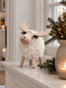 Eland white - Large
