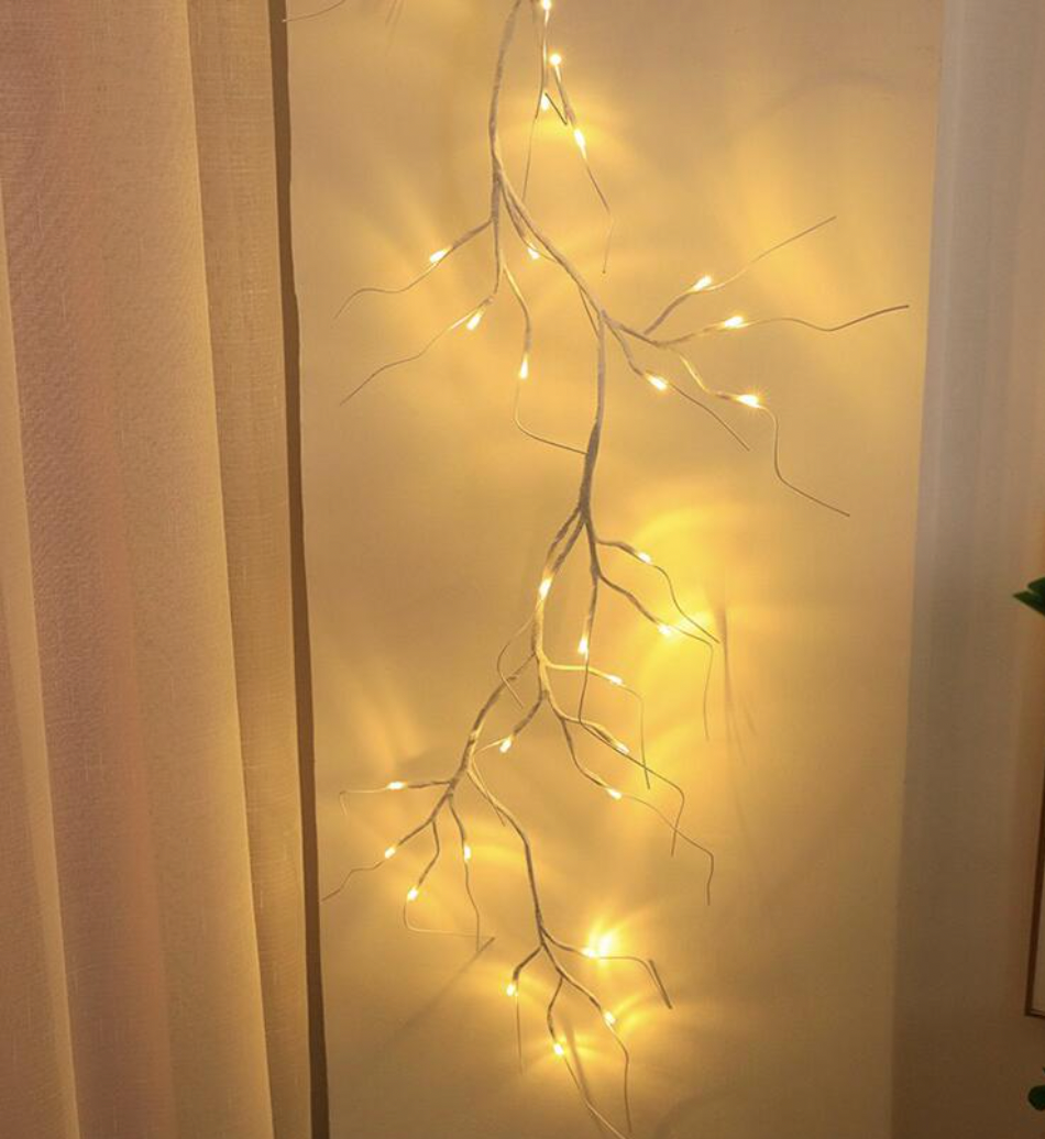 Wilgentakken met LED