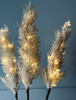Pampas met LED licht - 118 cm
