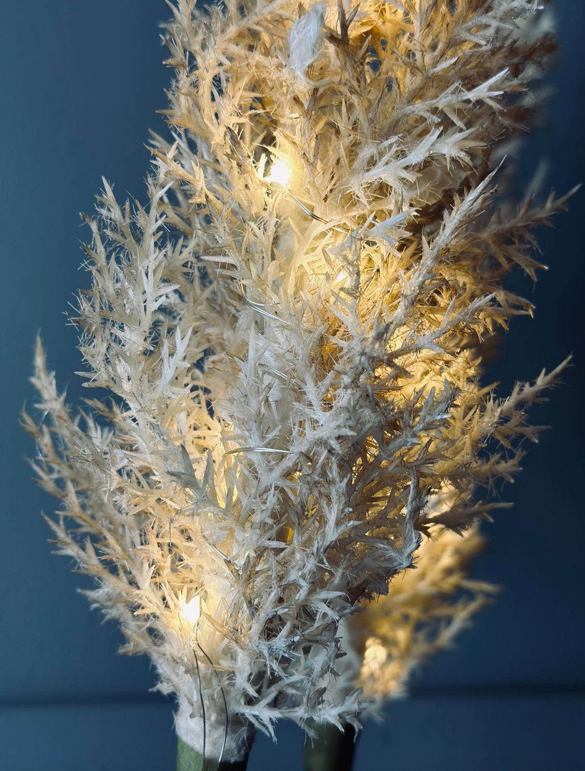 Pampas met LED licht - 118 cm