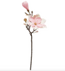 Blomst magnolia steel
