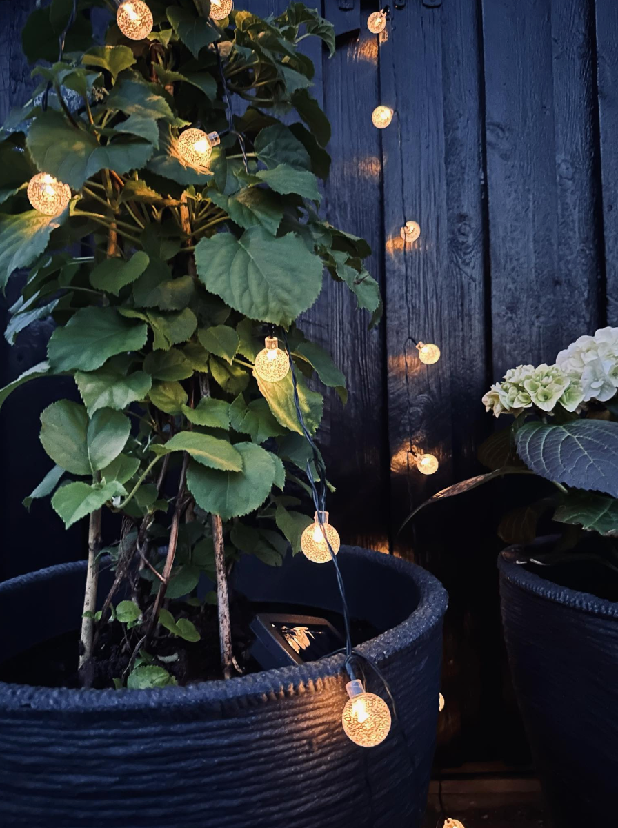 Lichtslinger Bella met 20 lampjes – Zonnecellen
