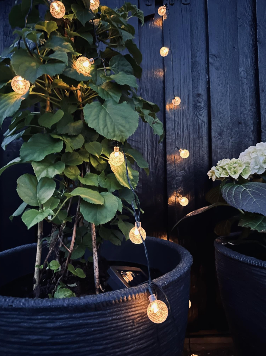 Lichtslinger Bella met 20 lampjes – Zonnecellen