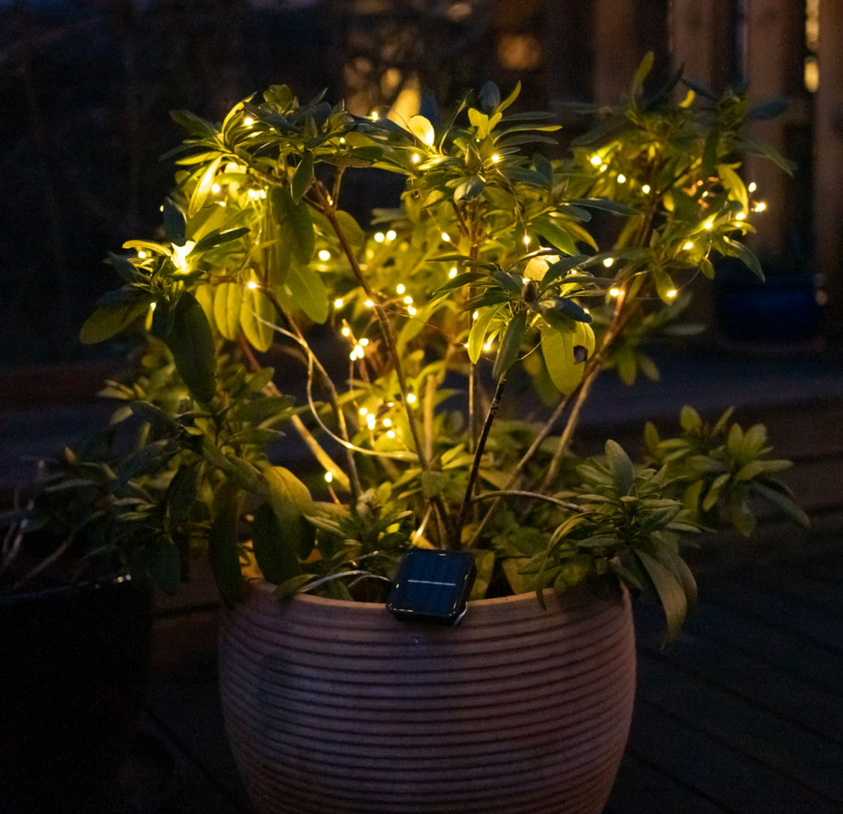 Lichtsnoer Marly m. Solar - 200 lampjes